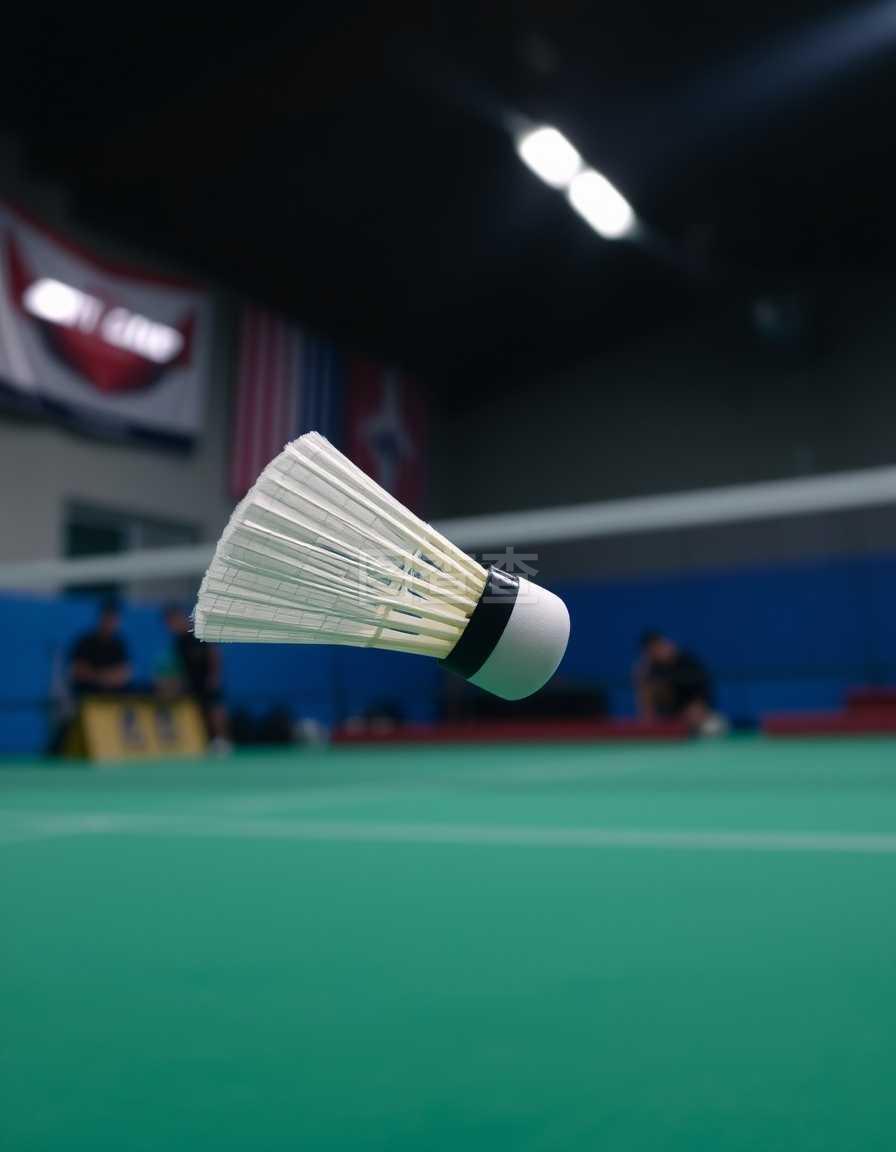 场上不可或 场上不可或