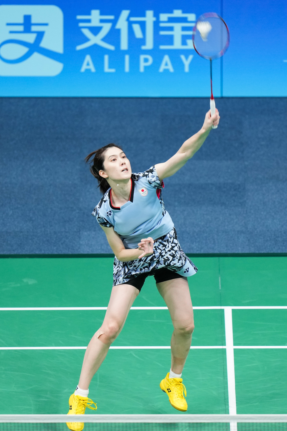 尔图瓦的情 尔图瓦的情